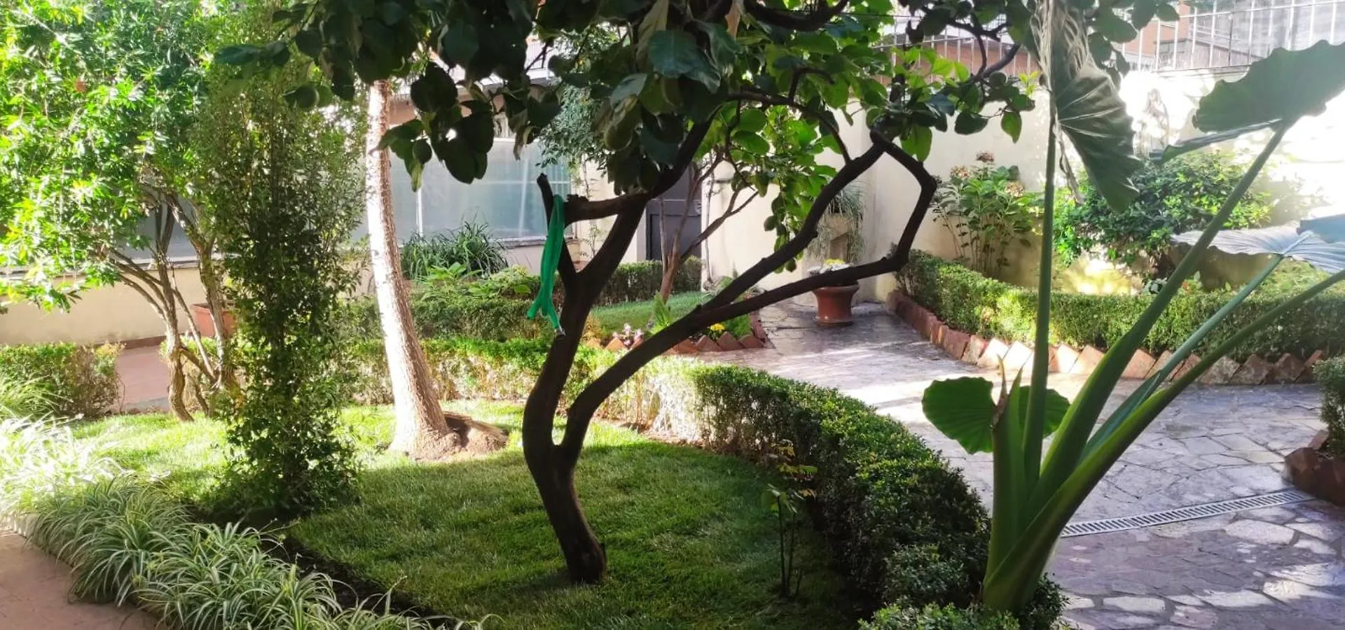 בית הארחה רומא Villa Angeli